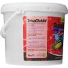 imageTetra Cichlid Crisps Nutritionally Balanced Fish Food for All Top and MidWater Cichlids 882 oz175 Pound Pack of 1