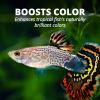 imageTetraColor Tropical Flakes Color Boosting Fish Food Nutritionally Balanced Diet for Tropical Fish 706 ozRegular