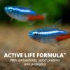 imageTetraColor Tropical Flakes Color Boosting Fish Food Nutritionally Balanced Diet for Tropical Fish 706 ozRegular