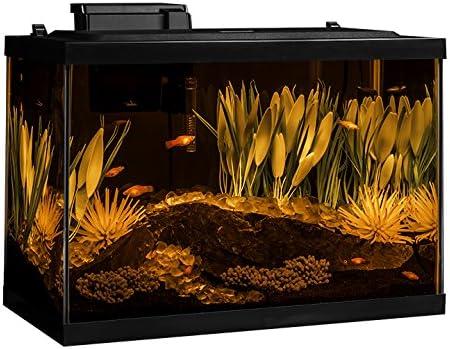 imageTetra ColorFusion Aquarium 20 Gallon Fish Tank Kit Includes LED Lighting and DecorColor Fusion