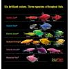 imageGloFish Crescent Aquarium Kit 5 Gallons Includes Hidden Blue LED Light And Internal Filter10Gallon