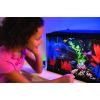 imageGloFish Crescent Aquarium Kit 5 Gallons Includes Hidden Blue LED Light And Internal Filter20gallon