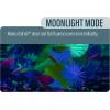 imageGloFish Crescent Aquarium Kit 5 Gallons Includes Hidden Blue LED Light And Internal Filter5gallon portrait kit