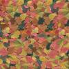 imageTetra 16155 Min Large Tropical Flakes For TopMid Feeders 565Ounce
