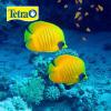 imageTetra 16155 Min Large Tropical Flakes For TopMid Feeders 565Ounce