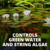 imageTetra 77188 Algae Control Treats 36000 gallons 1014Ounce