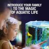 imageTetra Bubbling LED Aquarium Kit 1 Gallon Hexagon Shape With ColorChanging Light Disc