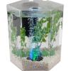 imageTetra Bubbling LED Aquarium Kit 1 Gallon Hexagon Shape With ColorChanging Light Disc
