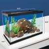 imageTetra ColorFusion Aquarium 20 Gallon Fish Tank Kit Includes LED Lighting and DecorTetra