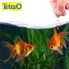 imageTetra Goldfish Flakes Nutritionally Balanced Diet for Aquarium Fish Vitamin C Enriched Flakes 353 oz1 Ounce Pack of 1