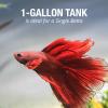 imageTetra LED Betta Tank Kit 1 Gallon Trapezoid aquarium With Base Lighting 24050