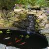 imageTetra Pond Block 4 Count Controls Algae Growth In Ornamental Fish Ponds 167351