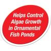 imageTetra Pond Fountain Block 6 Count Controls Algae Growth In Ornamental Fountains6Blocks
