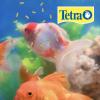 imageTetra Pond Sticks Koi Fish ampamp Goldfish Food Soft Sticks Easy to Digest Floating Pond Fish Food 11 poundsFish