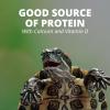 imageTetra TetraFauna PRO ReptoMin Pro Sticks Adult Turtle Formula Daily Diet for Aquatic Turtles 811 ozAdult Turtle