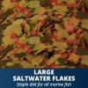 imageTetraMarine Large Saltwater Flakes Nutritionally Balanced Fish Food for Saltwater Fish 565 oz176 Pound Pack of 1