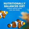 imageTetraMarine Large Saltwater Flakes Nutritionally Balanced Fish Food for Saltwater Fish 565 oz176 Pound Pack of 1