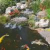 imageTetraPond Koi Growth 485 Pounds Soft Sticks Pond Fish Food485 Pound Pack of 2