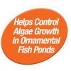 imageTetraPond Pond Block 50 Count Helps Control Algae Growth in Ornamental Fish Ponds50 blocks Pack of 4