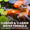imageTetraPond Pond Flakes Complete Nutrition for Smaller Pond Fish Fish Food for Goldfish and Koi Fish 635 OuncesOriginal