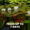 imageTetraPond Vacation Food Slow Release Feeder Block 345 Ounce  16477