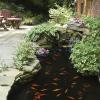 imageTetraPond Water Garden Pump Powers WaterfallsFiltersFountain Heads50 to 500 Gallons