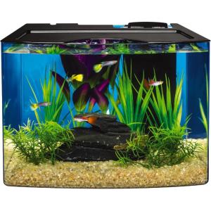 imageTetra Aquarium Kit Fish Tank with Filter ampamp Lights3 Gallon