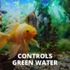 imageTetra Algae Control Liquid 338 ounces Controls Algae in Aquariums169Ounce