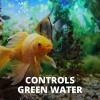 imageTetra Algae Control Liquid 338 ounces Controls Algae in Aquariums338Ounce