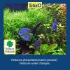 imageTetra EasyBalance Plus 845 Ounces Weekly Freshwater Aquarium Water Conditioner GoldYellow338Ounce Pack of 2