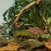 imageTetra Aquatic Turtle Deluxe Kit 20 Gallons aquarium With Filter And Heating Lamps 30 IN NV3323015 gallon